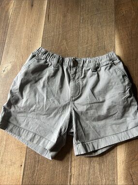 Chubbies Men’s Gray Casual Shorts